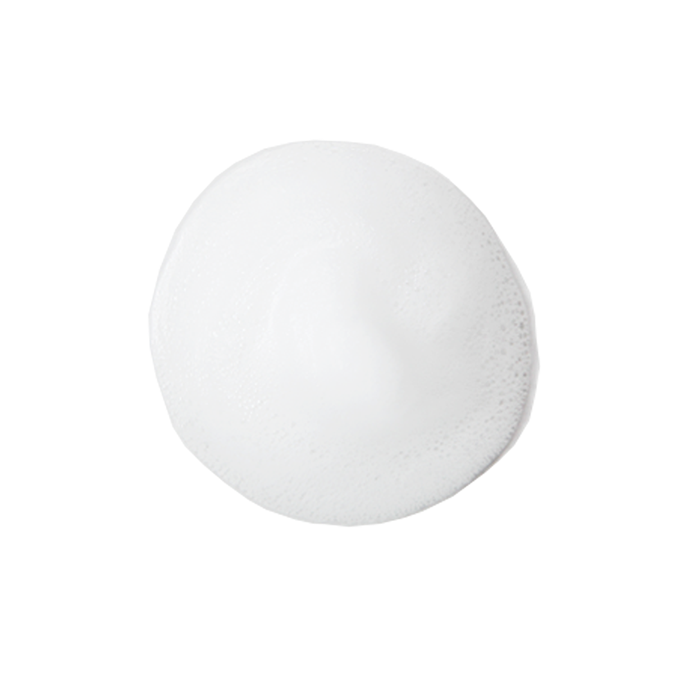 Rich Moist Foaming Cleanser - Image 2